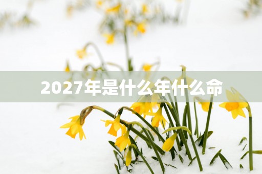 2027年是什么年什么命