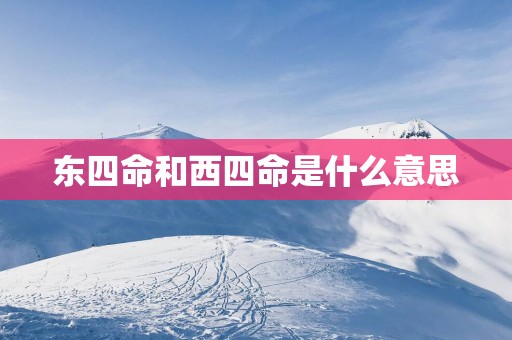 东四命和西四命是什么意思