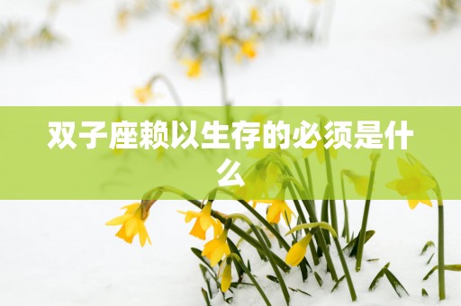 双子座赖以生存的必须是什么