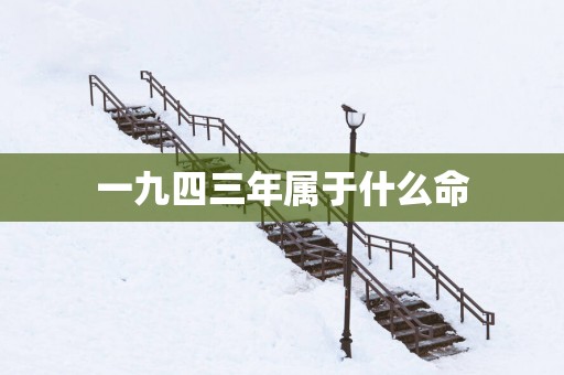 一九四三年属于什么命