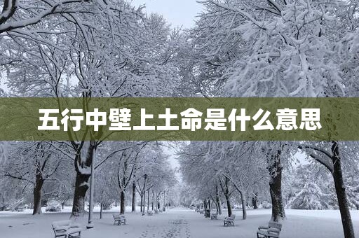 五行中壁上土命是什么意思