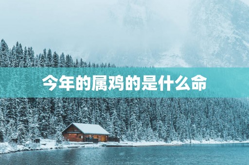 今年的属鸡的是什么命
