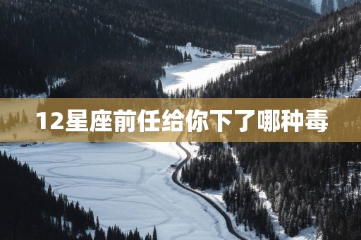 12星座前任给你下了哪种毒