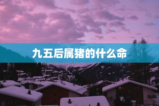 九五后属猪的什么命