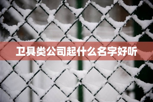 卫具类公司起什么名字好听