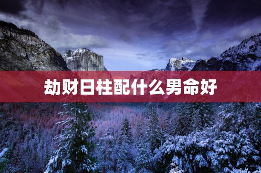 劫财日柱配什么男命好