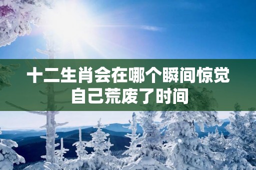 十二生肖会在哪个瞬间惊觉自己荒废了时间