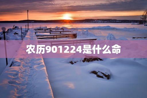 农历901224是什么命