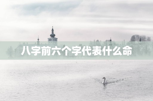 八字前六个字代表什么命