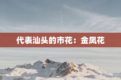 代表汕头的市花：金凤花