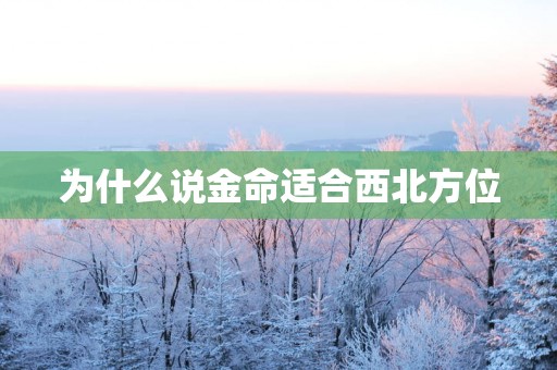 为什么说金命适合西北方位