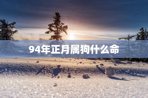 94年正月属狗什么命