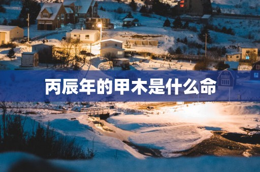 丙辰年的甲木是什么命