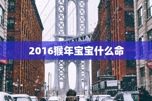 2016猴年宝宝什么命