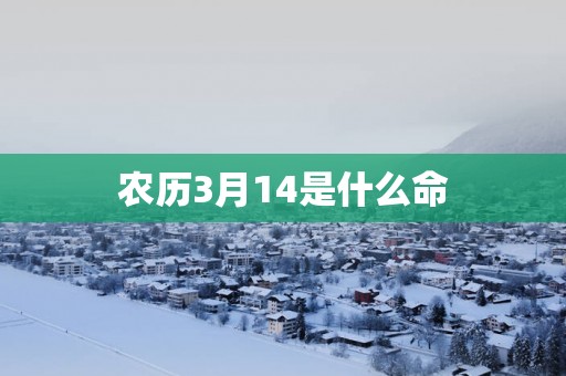 农历3月14是什么命