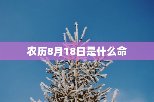 农历8月18日是什么命