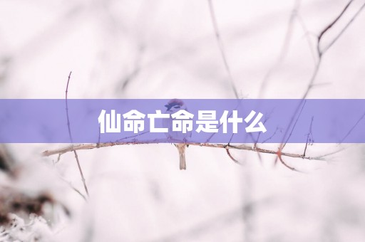 仙命亡命是什么