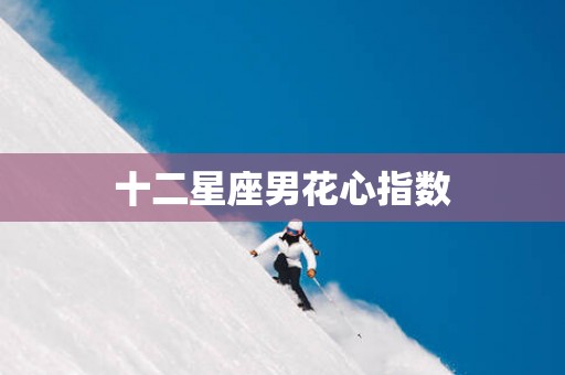 十二星座男花心指数