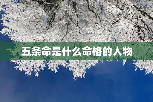 五条命是什么命格的人物
