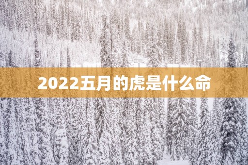2025五月的虎是什么命