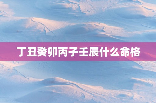 丁丑癸卯丙子壬辰什么命格