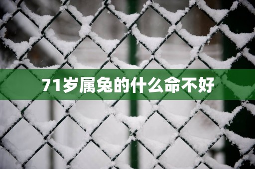 71岁属兔的什么命不好