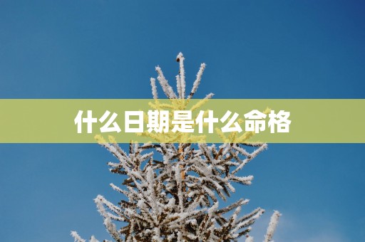什么日期是什么命格