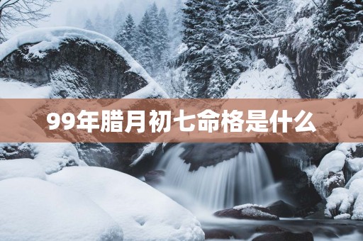 99年腊月初七命格是什么