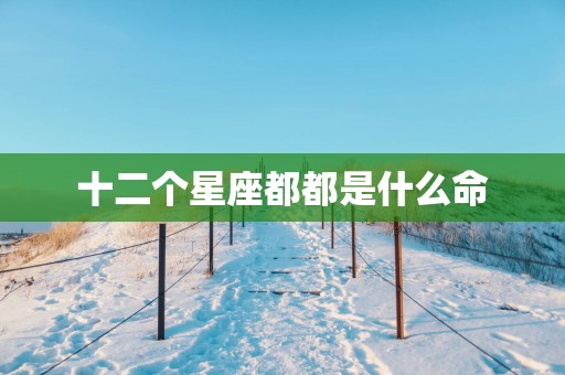 十二个星座都都是什么命