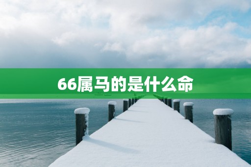 66属马的是什么命