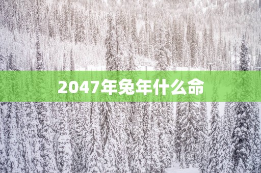 2047年蛇年什么命