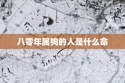 八零年属狗的人是什么命