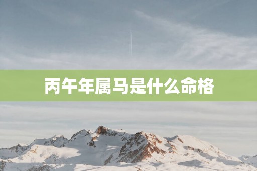 丙午年属马是什么命格