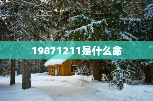19871211是什么命