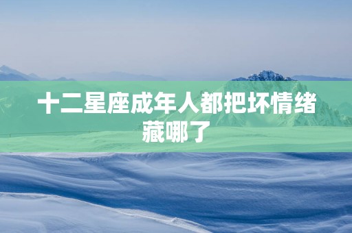 十二星座成年人都把坏情绪藏哪了