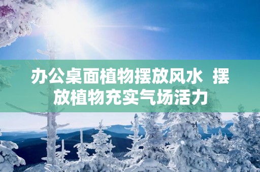 办公桌面植物摆放风水  摆放植物充实气场活力