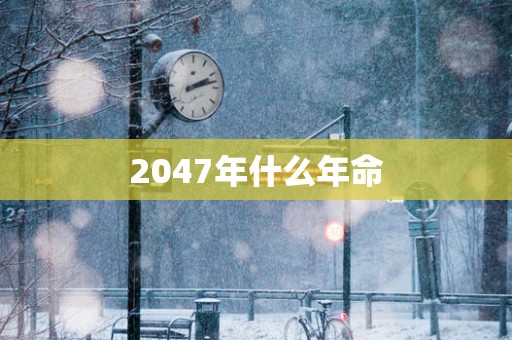 2047年什么年命