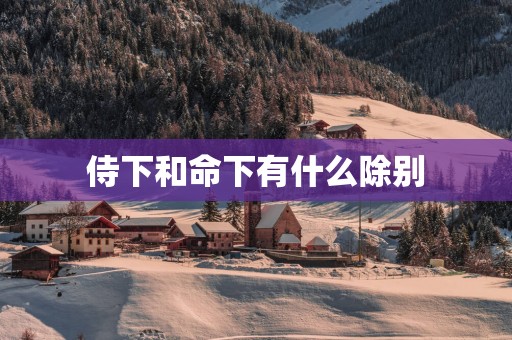 侍下和命下有什么除别
