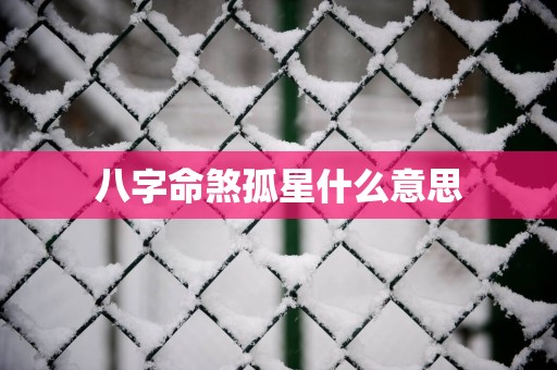 八字命煞孤星什么意思
