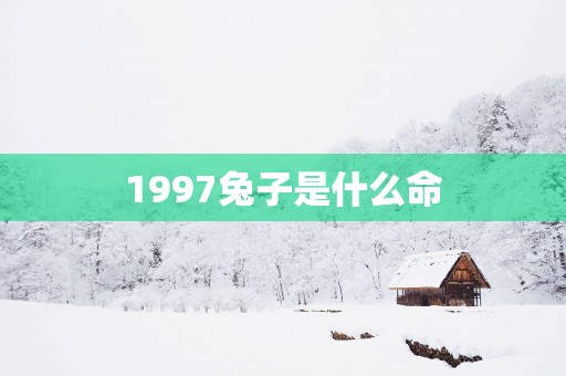 1997兔子是什么命