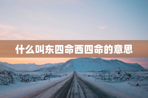 什么叫东四命西四命的意思