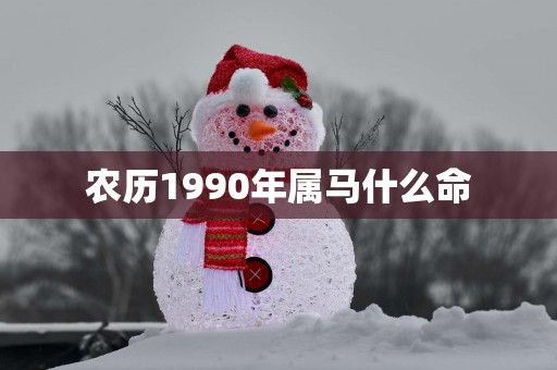 农历1990年属马什么命