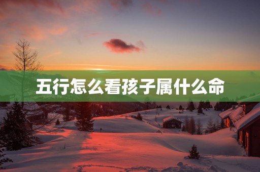 五行怎么看孩子属什么命