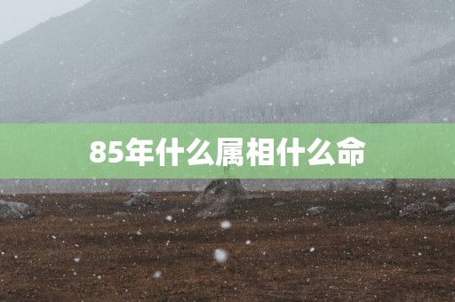 85年什么属相什么命