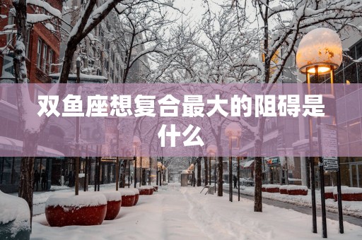 双鱼座想复合最大的阻碍是什么