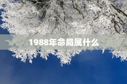 1988年命局属什么