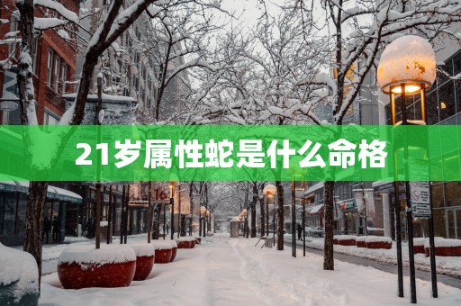 21岁属性蛇是什么命格