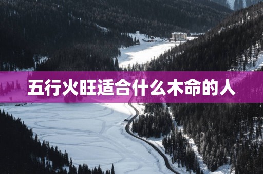 五行火旺适合什么木命的人