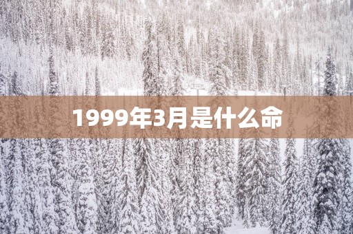 1999年3月是什么命