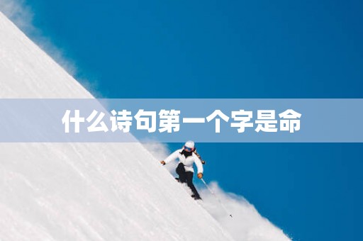 什么诗句第一个字是命